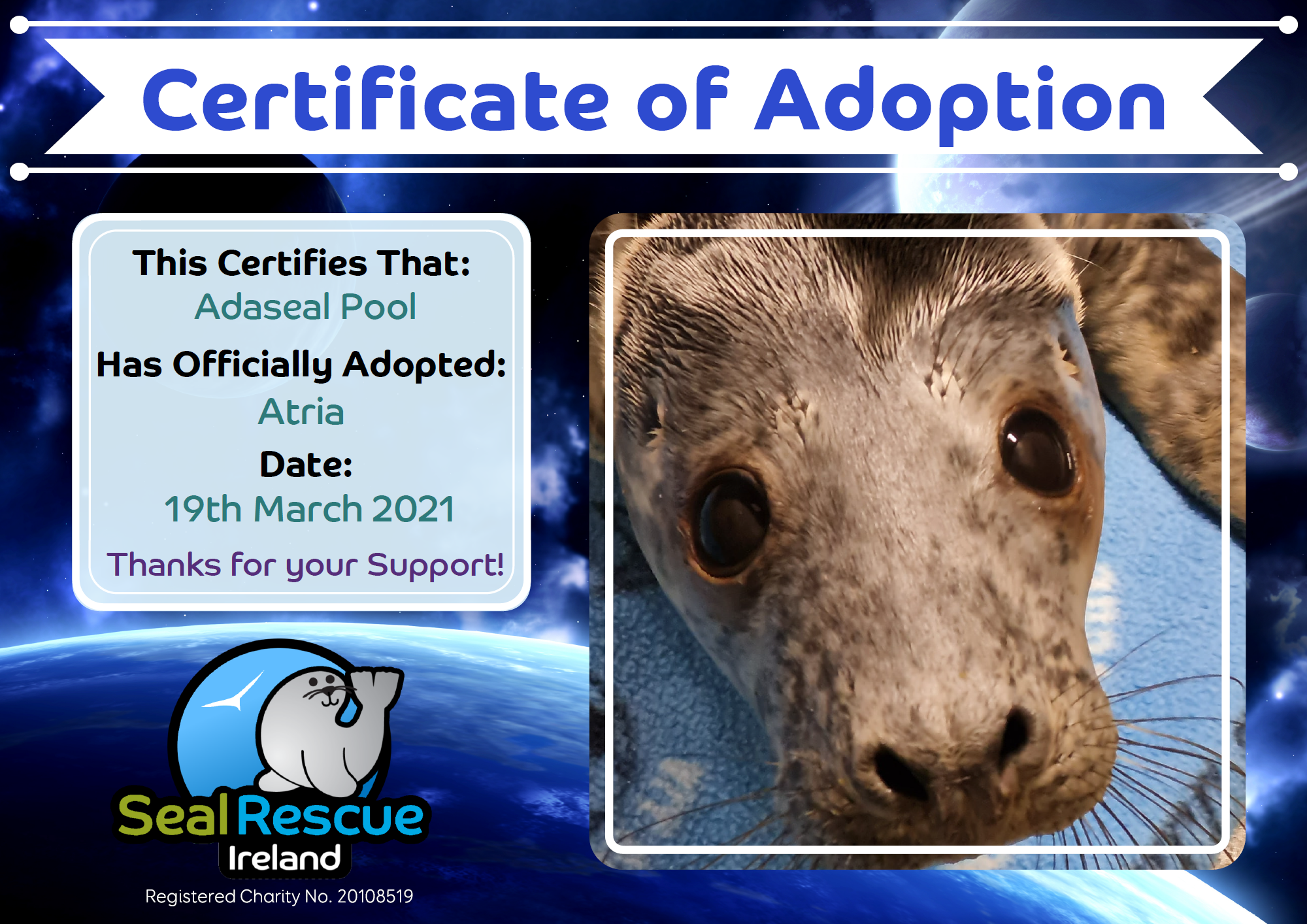 Certificate of adoption